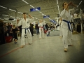 tkd (32).JPG